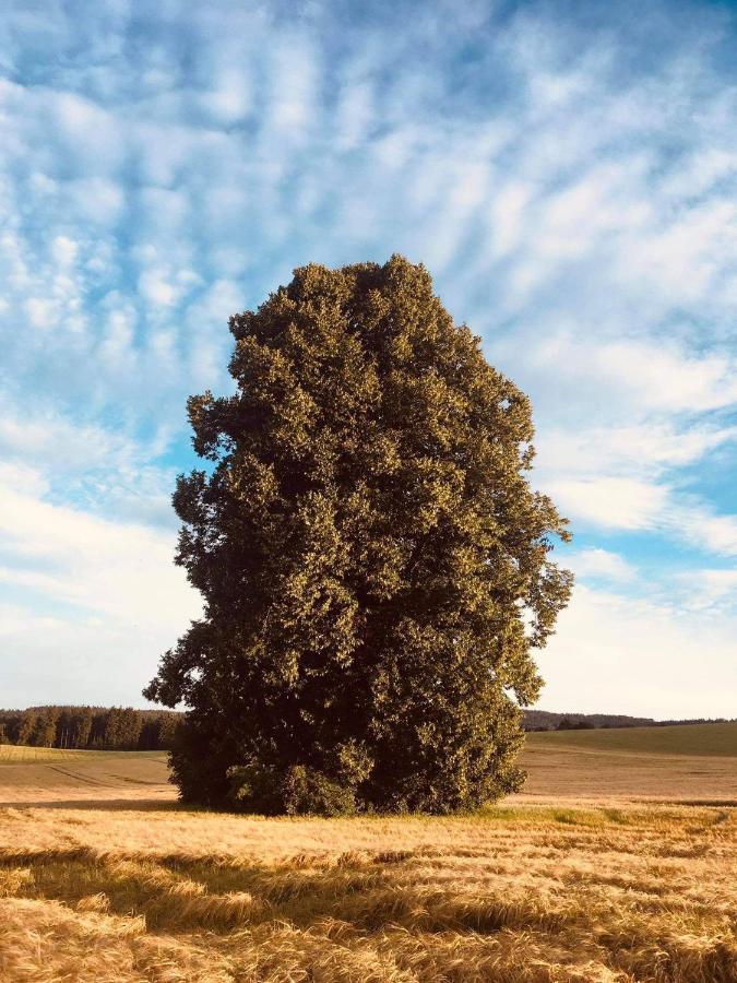 Usedlost Pivonka Mnichov Bagian luar foto